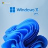 Windows 11 Professional Key - 1 PC